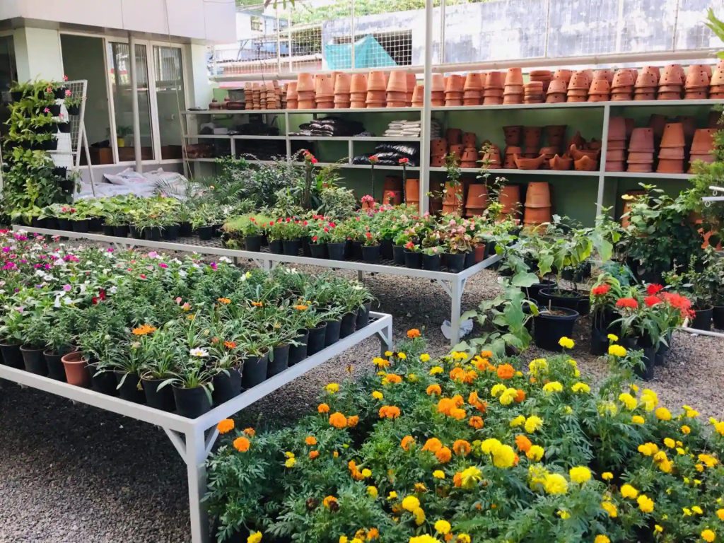 Nursery Garden